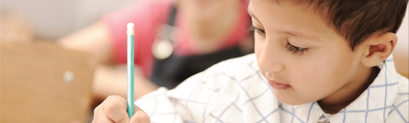 working-with-children-sub-banner