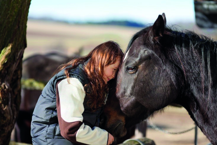 Stock image of a child bonding with a horse, pressing their foreheads together